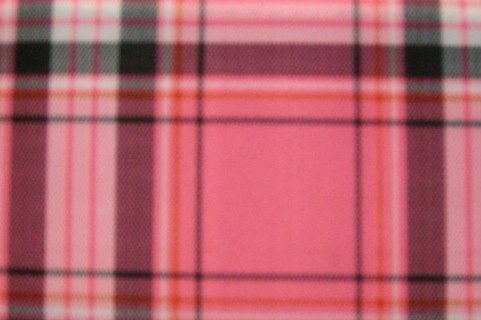 4. Pink Plaid